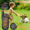 Dog Training Collar with Remote Rechargeable Electronic Shock Collar